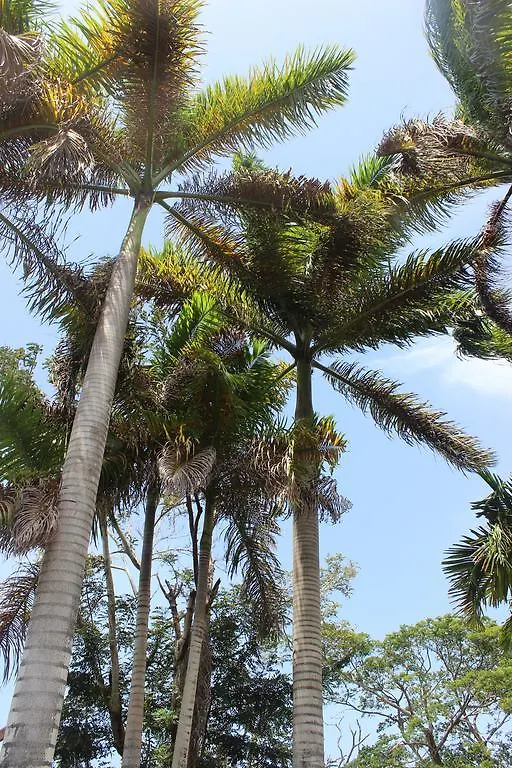 Villa Loyola Ocho Rios