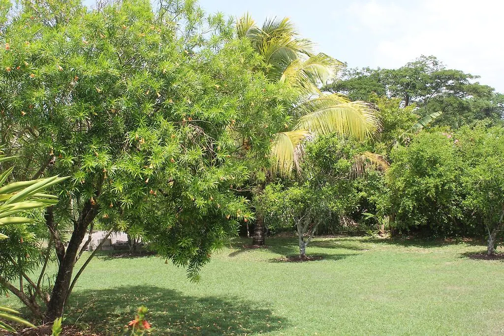 Villa Loyola Ocho Rios Jamaica