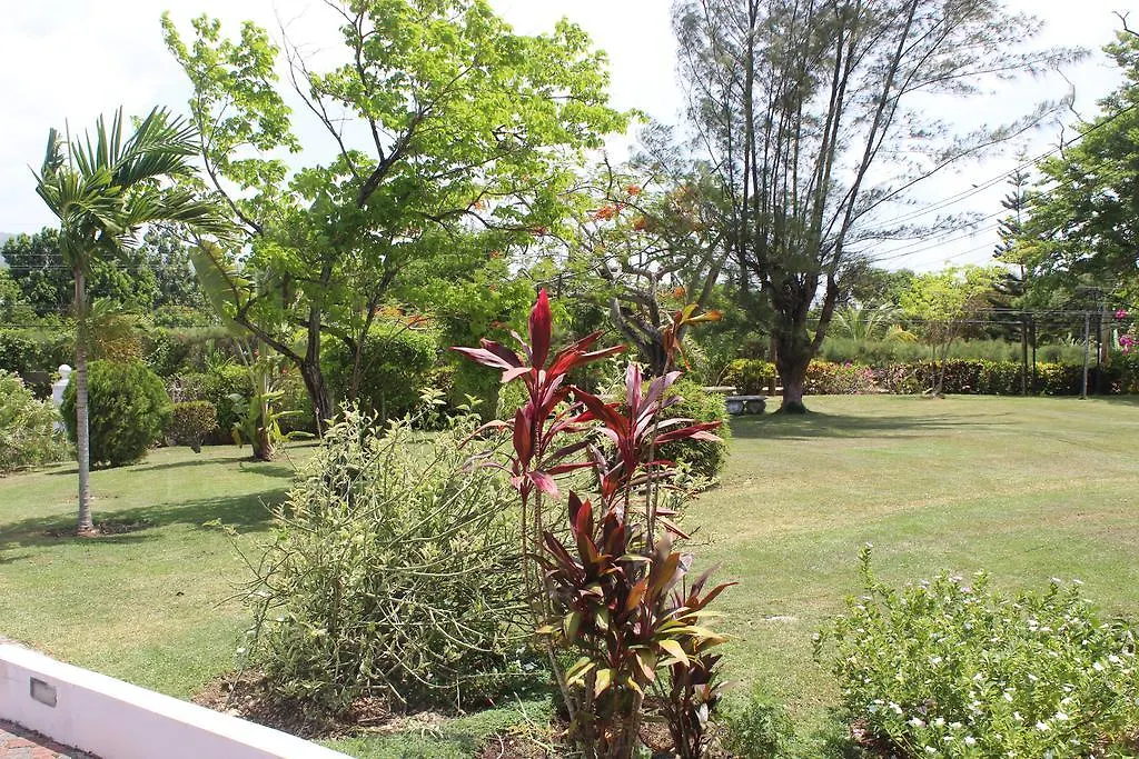 Guest house Villa Loyola Ocho Rios