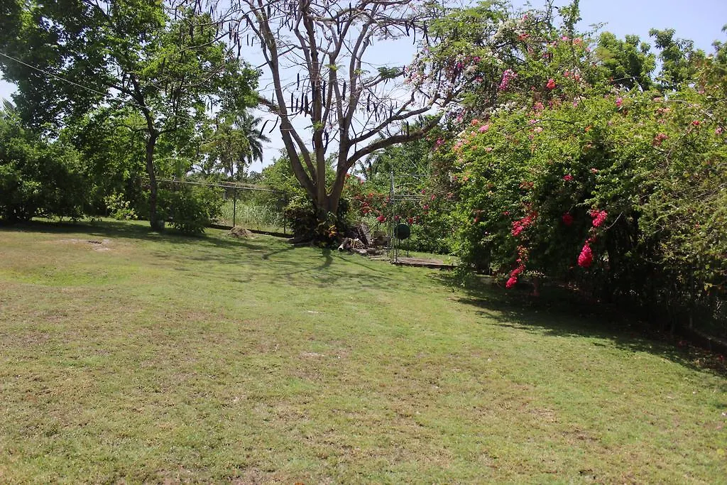 Gæstehus Villa Loyola Ocho Rios