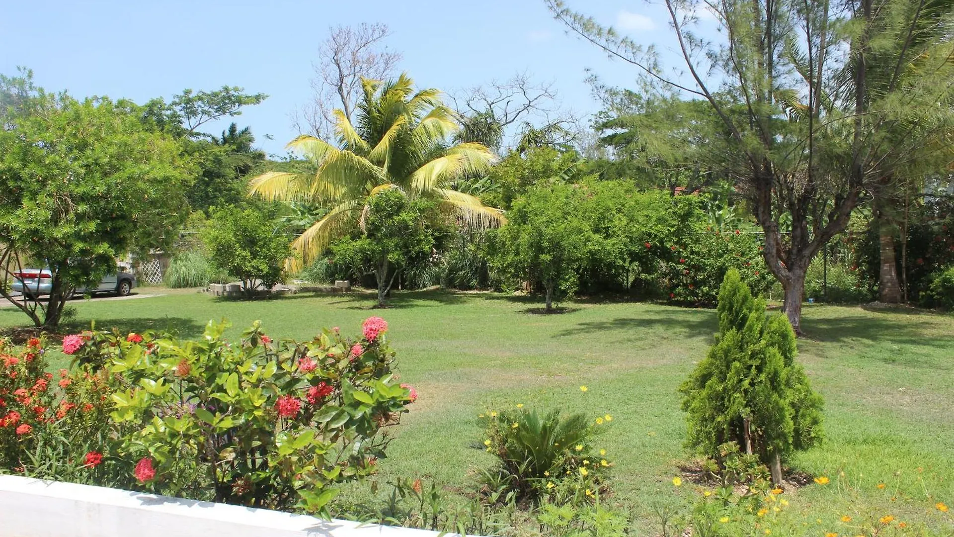 Gæstehus Villa Loyola Ocho Rios