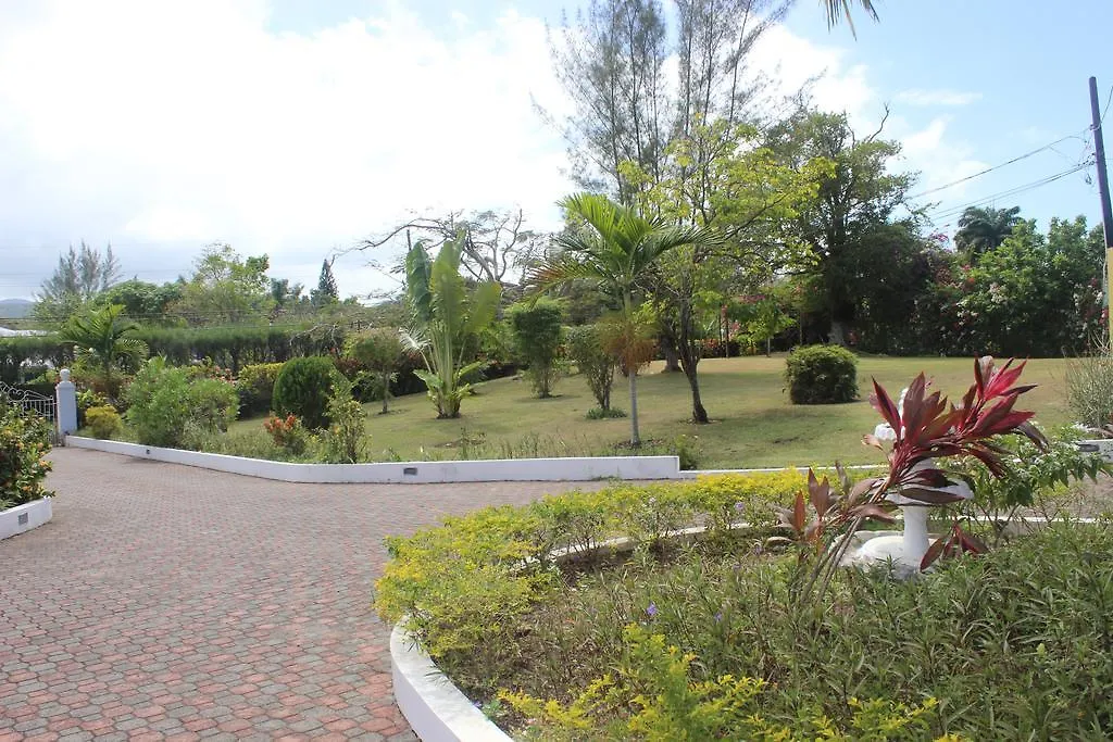 Villa Loyola Ocho Rios Gæstehus